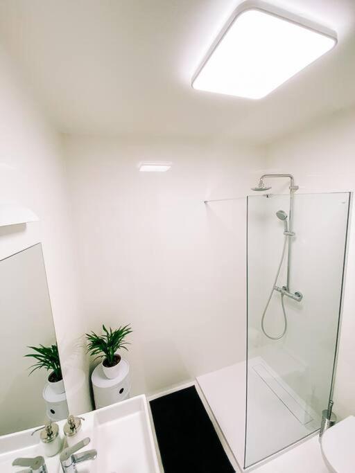 New Studio In Quiet Part Of The City Center Bratislava Exteriér fotografie